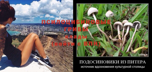 ECSTASY Вязники