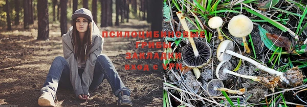 тгк Вяземский