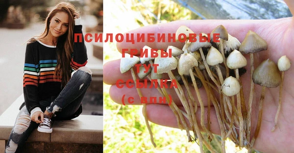 ECSTASY Вязники