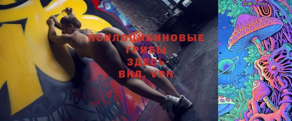 тгк Вяземский